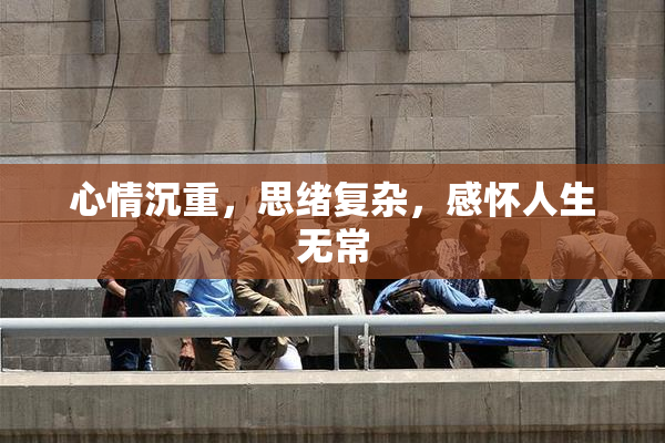 心情沉重，思绪复杂，感怀人生无常