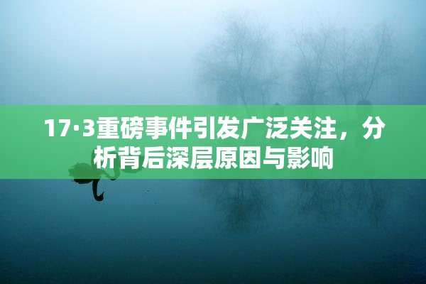 17·3重磅事件引发广泛关注，分析背后深层原因与影响