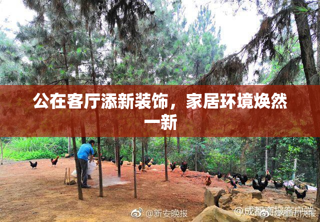 公在客厅添新装饰，家居环境焕然一新