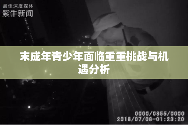 末成年青少年面临重重挑战与机遇分析