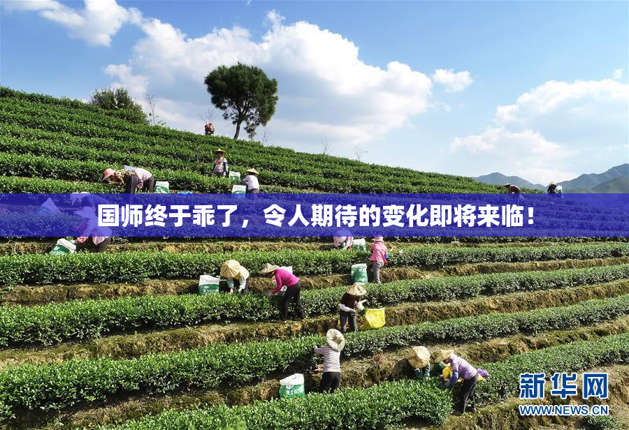 国师终于乖了，令人期待的变化即将来临！