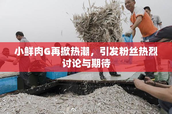 小鲜肉G再掀热潮，引发粉丝热烈讨论与期待