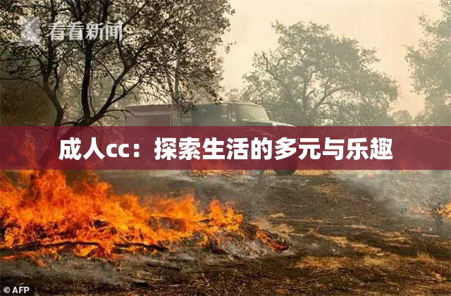 成人cc：探索生活的多元与乐趣