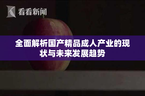 全面解析国产精品成人产业的现状与未来发展趋势