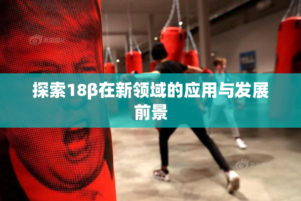 探索18β在新领域的应用与发展前景