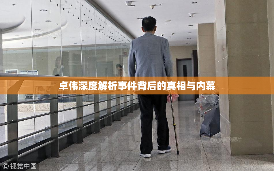 卓伟深度解析事件背后的真相与内幕