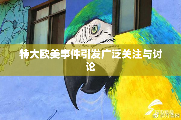 特大欧美事件引发广泛关注与讨论