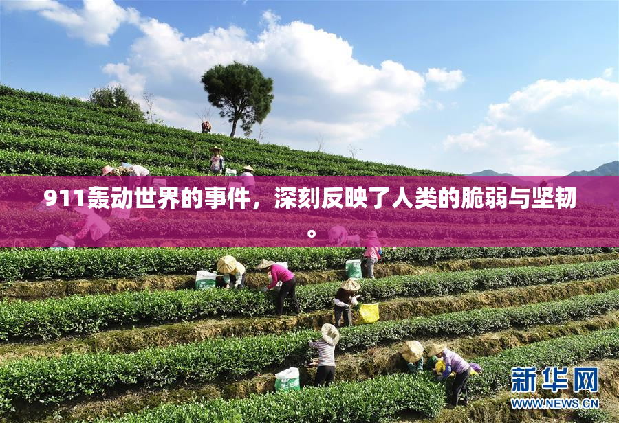 911轰动世界的事件，深刻反映了人类的脆弱与坚韧。