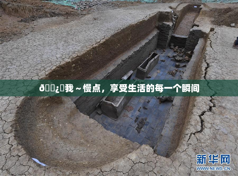 🌿‌我～慢点，享受生活的每一个瞬间