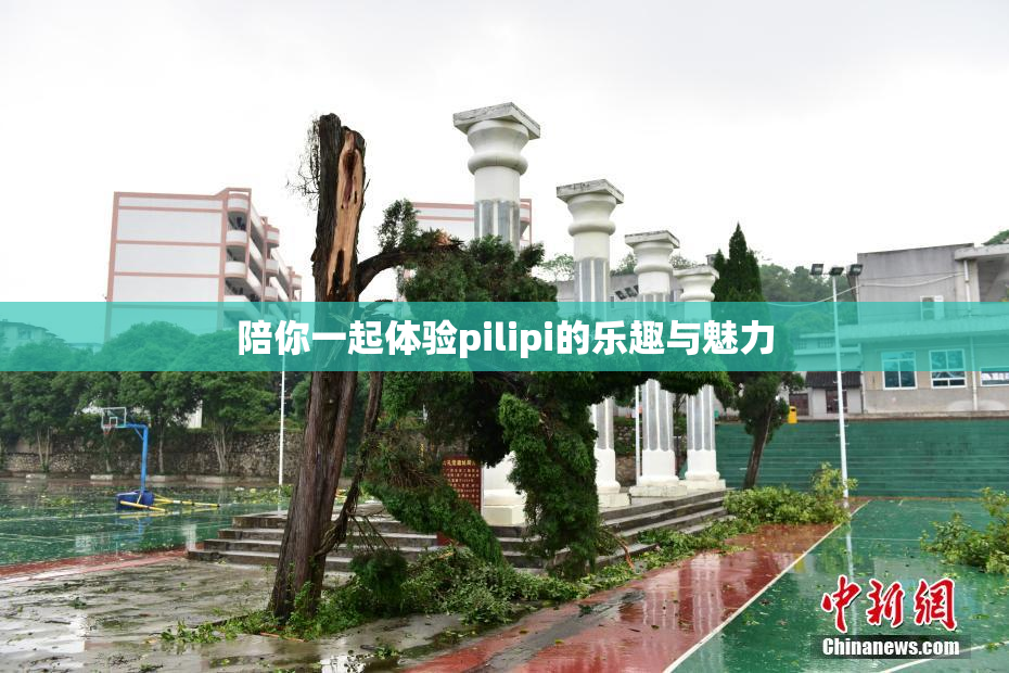 陪你一起体验pilipi的乐趣与魅力