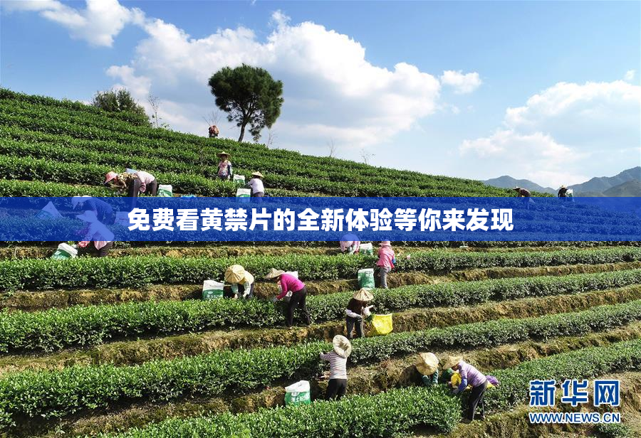 免费看黄禁片的全新体验等你来发现