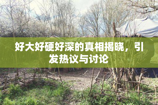 好大好硬好深的真相揭晓，引发热议与讨论