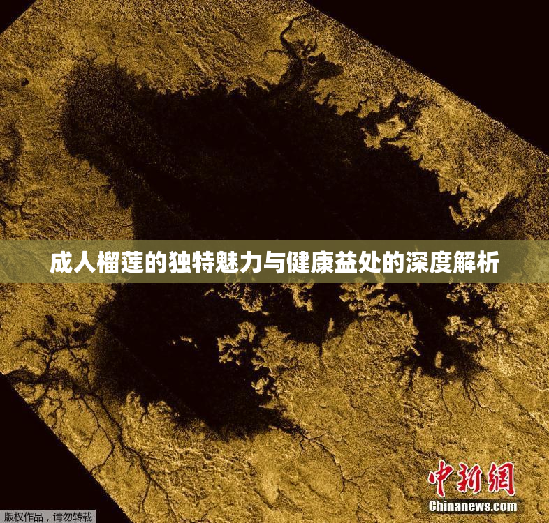 成人榴莲的独特魅力与健康益处的深度解析