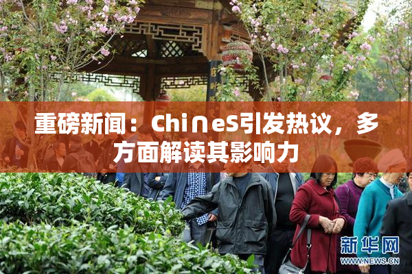 重磅新闻：Chi∩eS引发热议，多方面解读其影响力