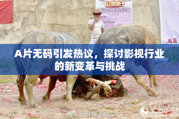 A片无码引发热议，探讨影视行业的新变革与挑战
