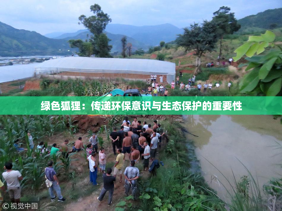 绿色狐狸：传递环保意识与生态保护的重要性