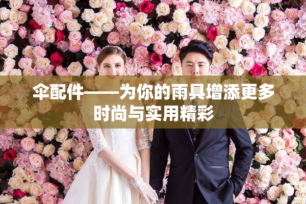 伞配件——为你的雨具增添更多时尚与实用精彩