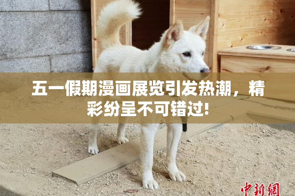 五一假期漫画展览引发热潮，精彩纷呈不可错过!