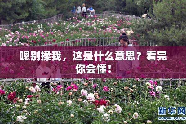 嗯别揉我，这是什么意思？看完你会懂！