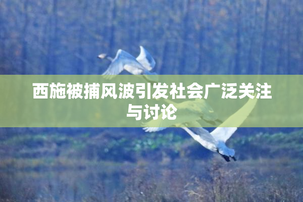 西施被捕风波引发社会广泛关注与讨论