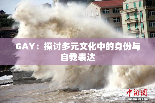 GAY：探讨多元文化中的身份与自我表达