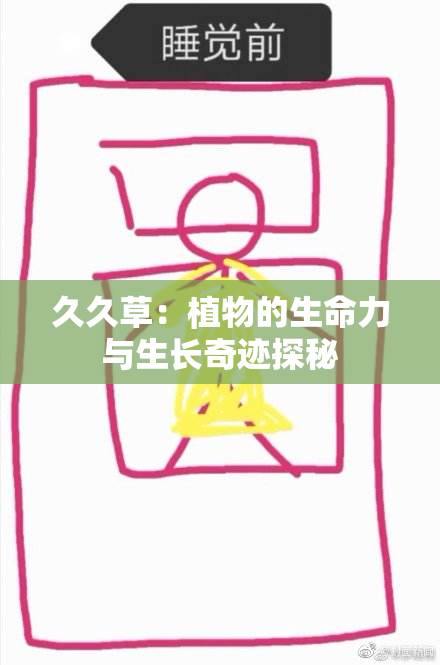 久久草：植物的生命力与生长奇迹探秘