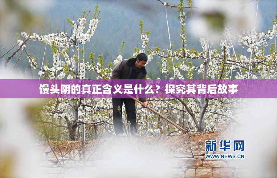 馒头阴的真正含义是什么？探究其背后故事