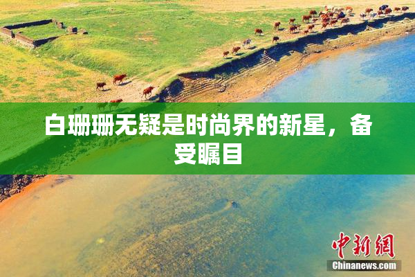 白珊珊无疑是时尚界的新星，备受瞩目