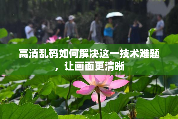 高清乱码如何解决这一技术难题，让画面更清晰