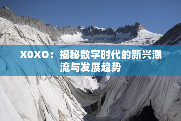 X0XO：揭秘数字时代的新兴潮流与发展趋势