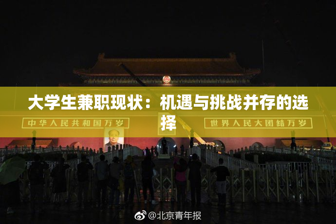 大学生兼职现状：机遇与挑战并存的选择