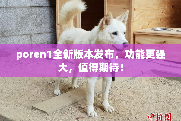 poren1全新版本发布，功能更强大，值得期待！