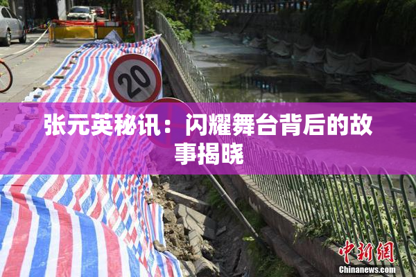 张元英秘讯：闪耀舞台背后的故事揭晓