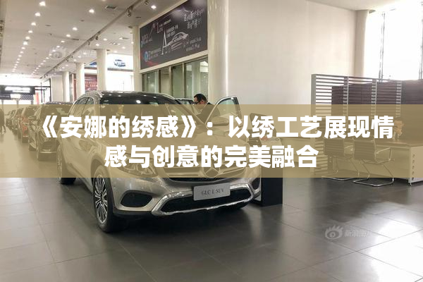 《安娜的绣感》：以绣工艺展现情感与创意的完美融合