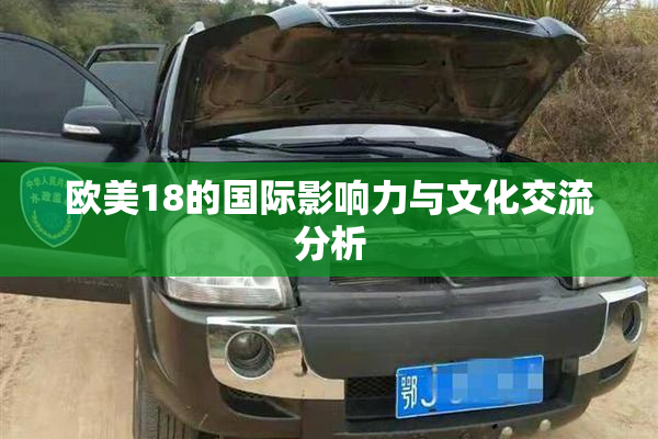 欧美18的国际影响力与文化交流分析