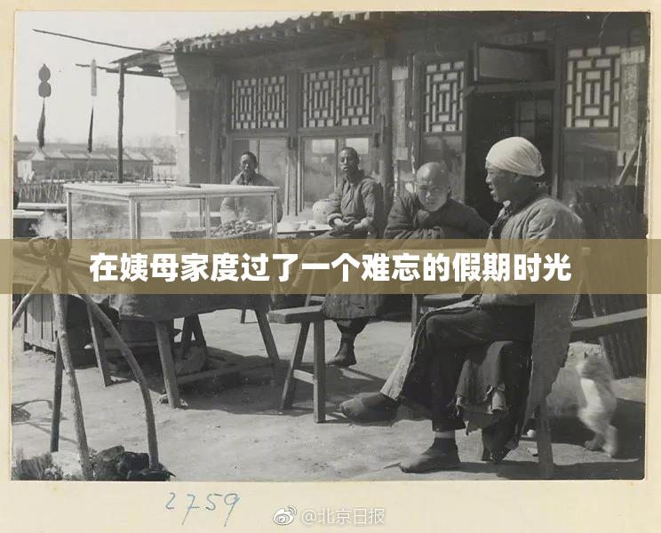 在姨母家度过了一个难忘的假期时光