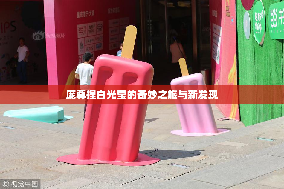庞尊捏白光莹的奇妙之旅与新发现