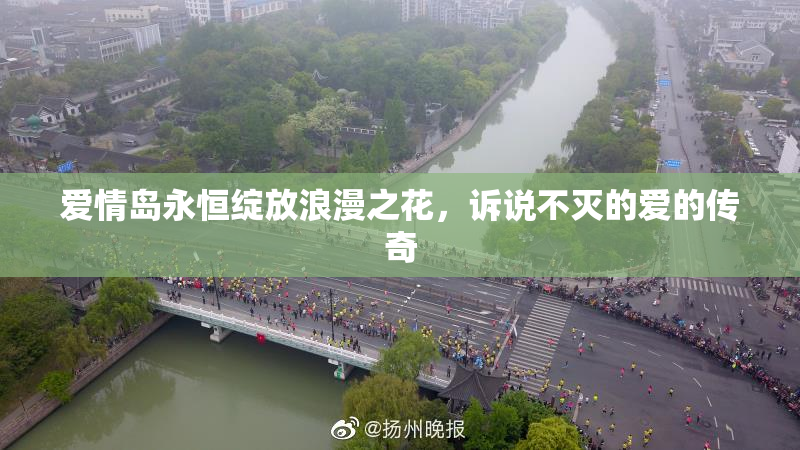 爱情岛永恒绽放浪漫之花，诉说不灭的爱的传奇