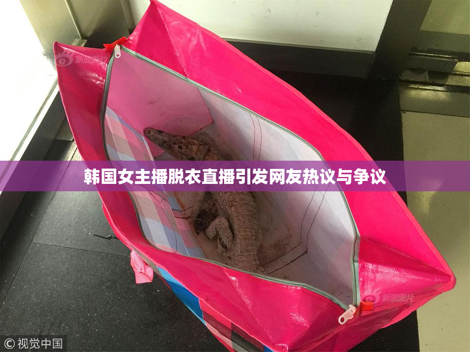 韩国女主播脱衣直播引发网友热议与争议