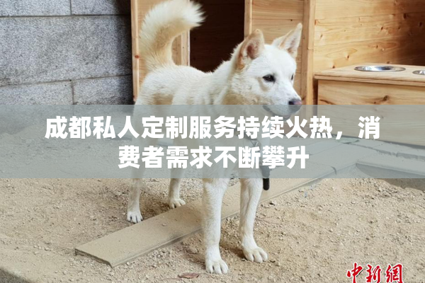 成都私人定制服务持续火热，消费者需求不断攀升