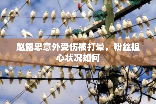 赵露思意外受伤被打晕，粉丝担心状况如何