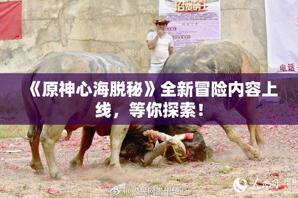 《原神心海脱秘》全新冒险内容上线，等你探索！