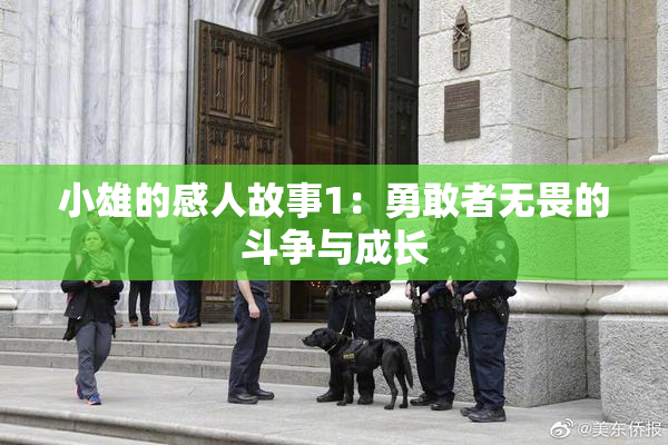 小雄的感人故事1：勇敢者无畏的斗争与成长