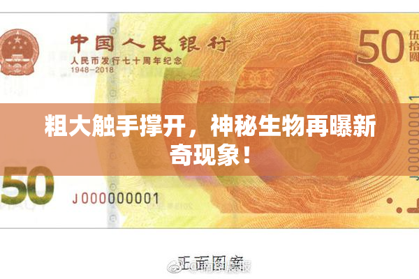 粗大触手撑开，神秘生物再曝新奇现象！