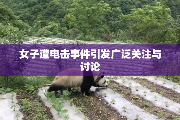 女子遭电击事件引发广泛关注与讨论