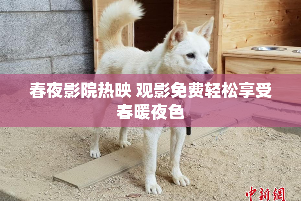 春夜影院热映 观影免费轻松享受春暖夜色