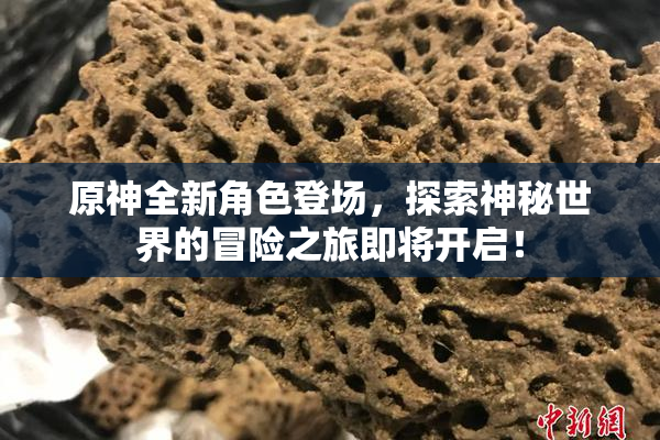 原神全新角色登场，探索神秘世界的冒险之旅即将开启！