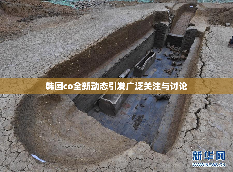 韩国co全新动态引发广泛关注与讨论
