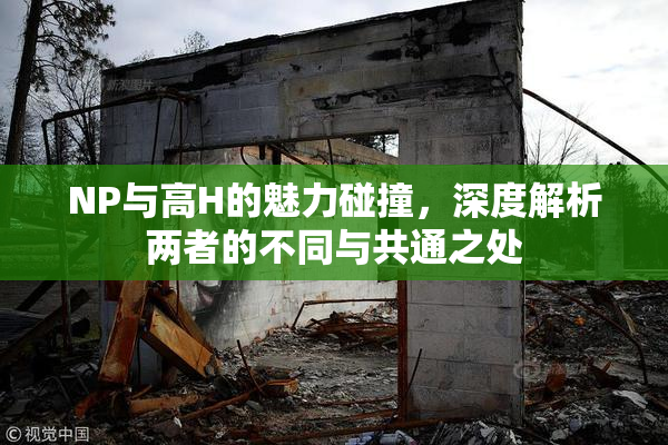 NP与高H的魅力碰撞，深度解析两者的不同与共通之处