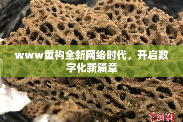 www重构全新网络时代，开启数字化新篇章